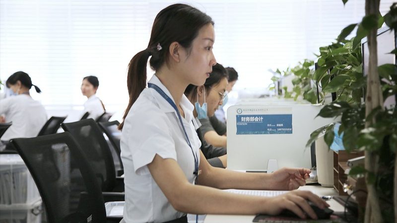 财税公司通常具备以下特点：