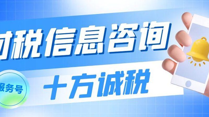 税务筹划参数配置表：标准格式与关键要素解析